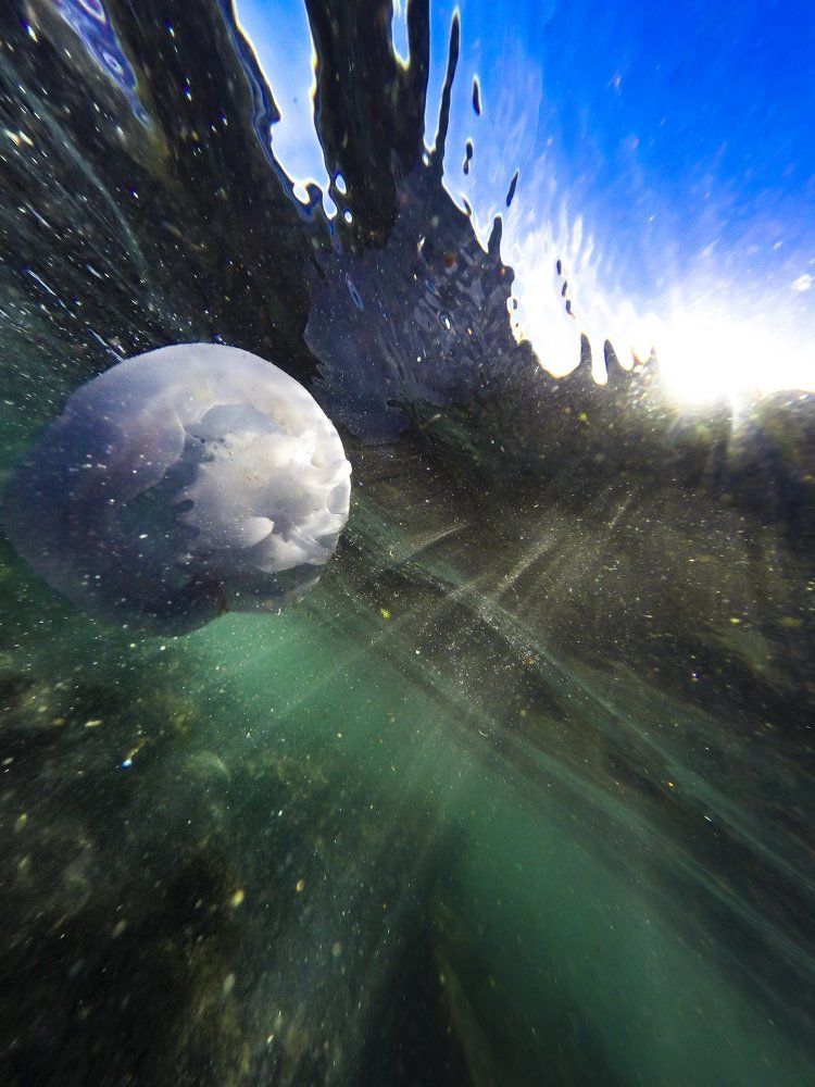 Магия живой жизни