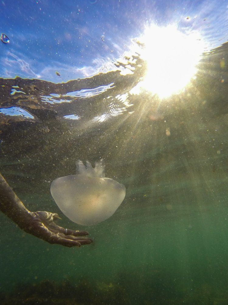 Волшебство
