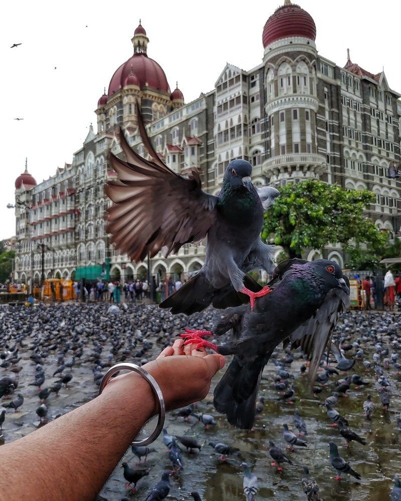 Survival of the fittest!