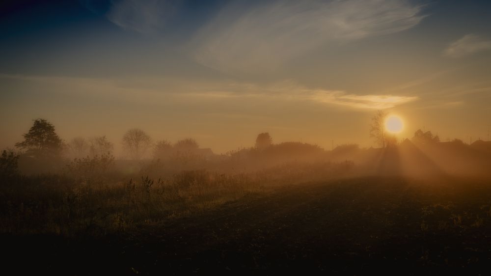 Photograph by Анатолий Коряк