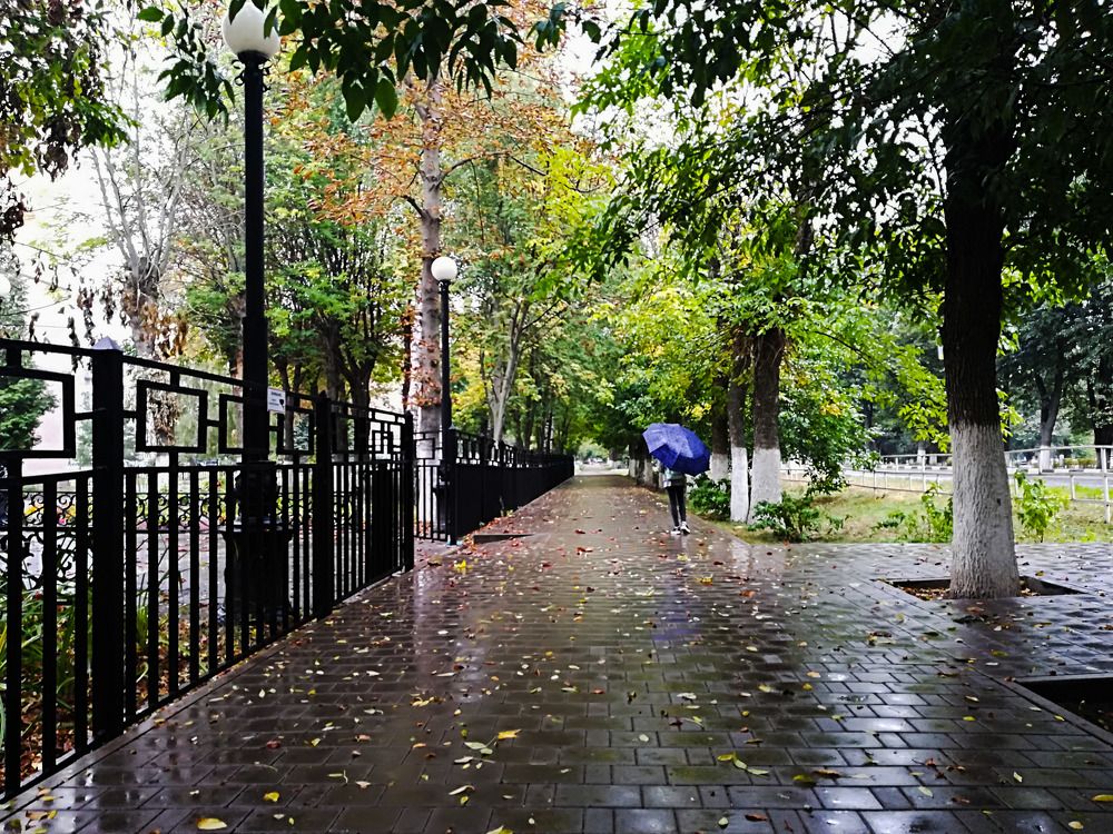 Дождик не помеха