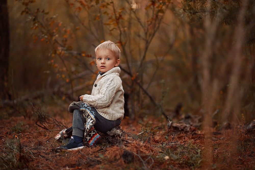 Шоколадная осень