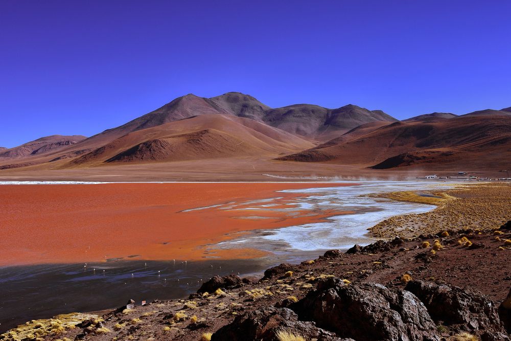 Лагуна Колорада, Colorada Lagoon