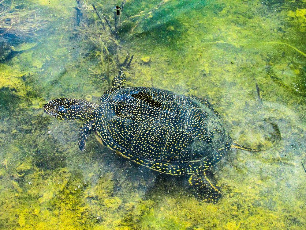 Photograph by Никита Волков