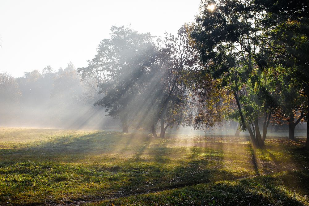 Ах туман, туман