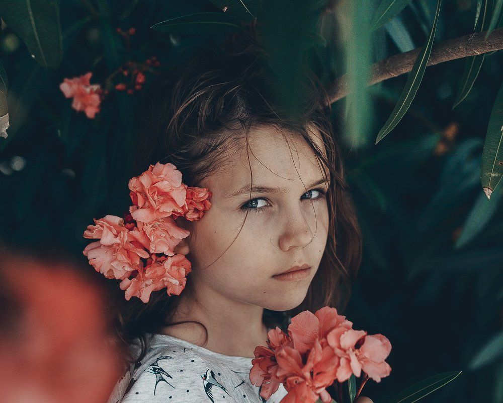 Photograph by 