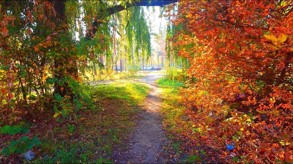 Photograph by Игнат Крошко