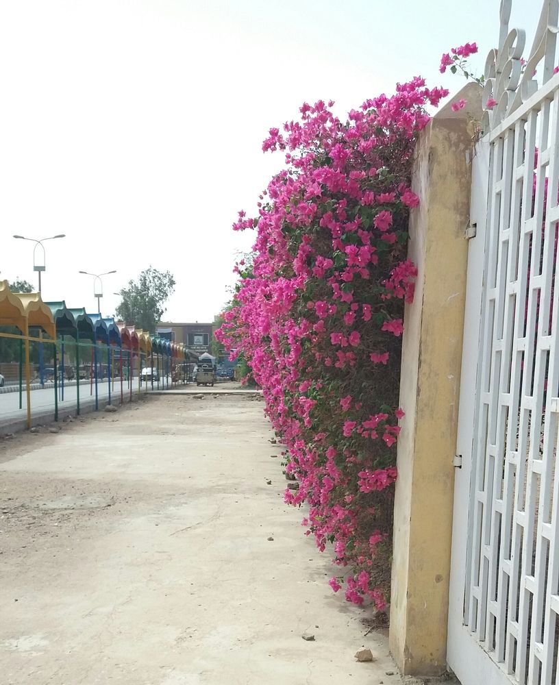 University sites