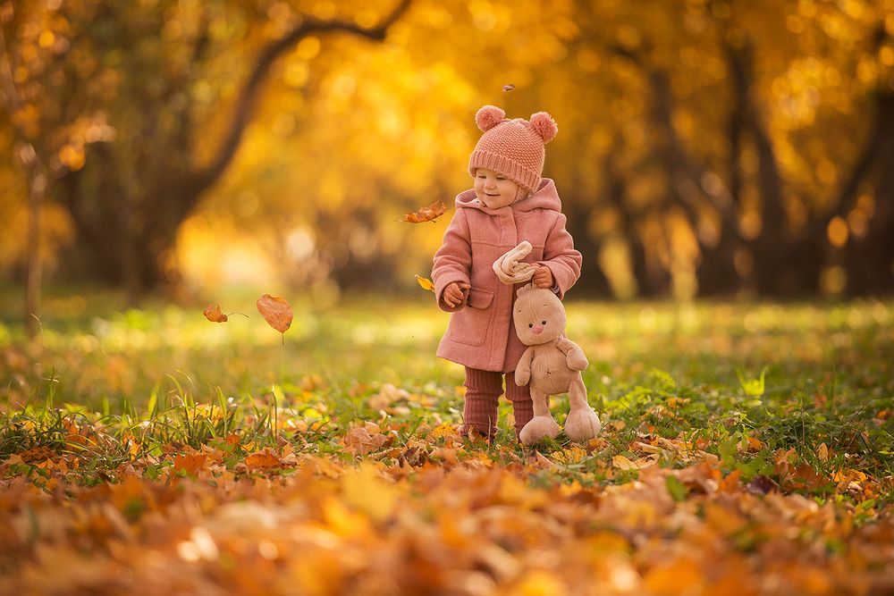 Все золотко осени