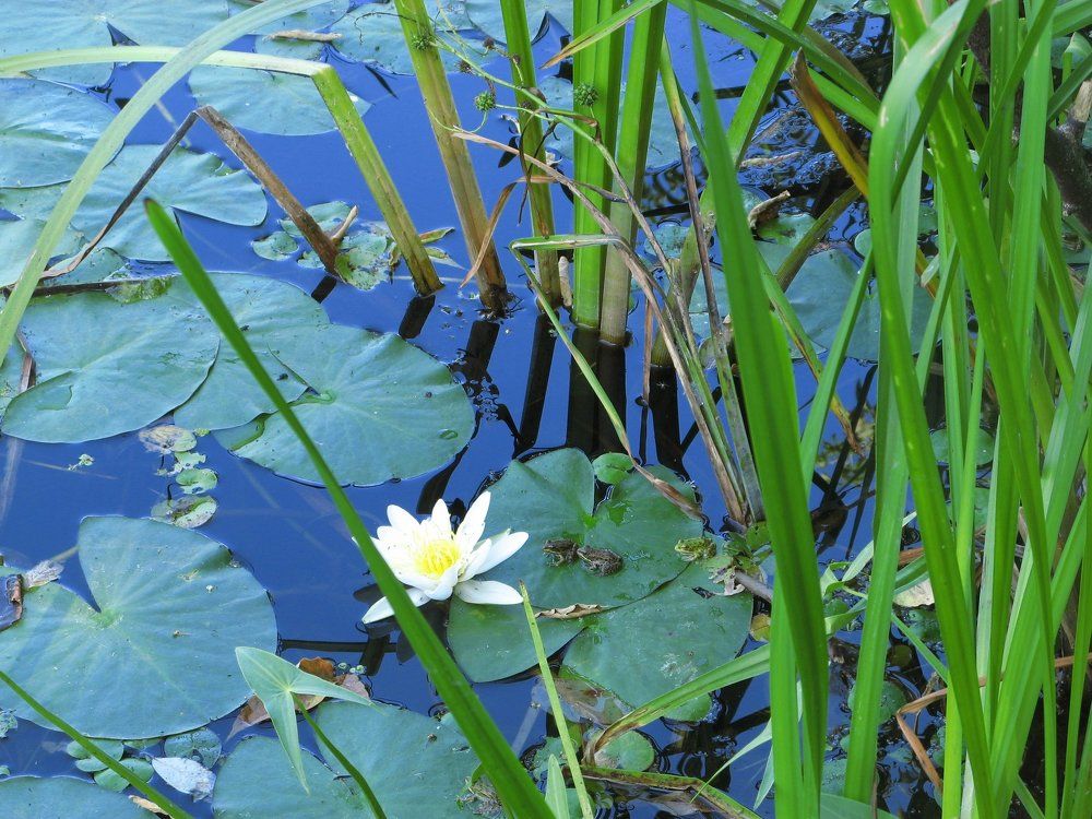 две малышки на прогулке