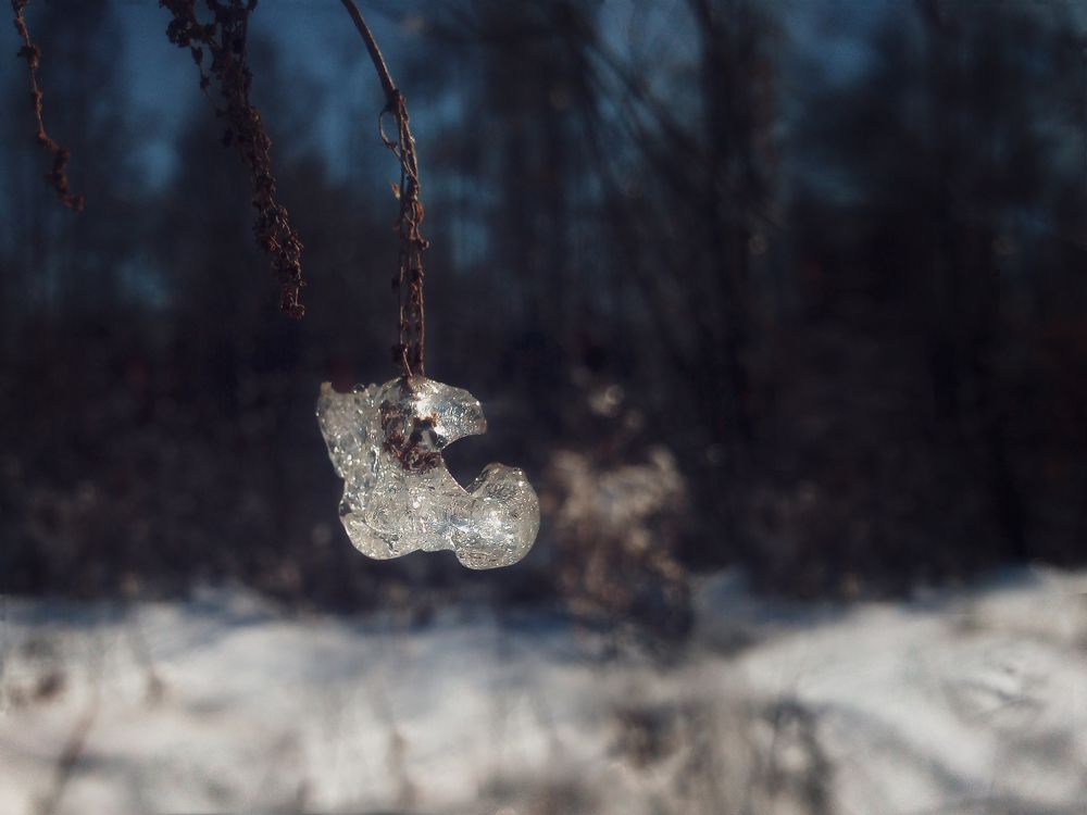 Необычное в обычном.