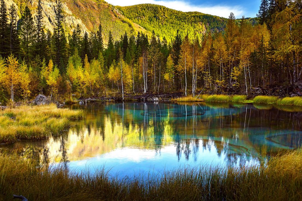 Золото осени.