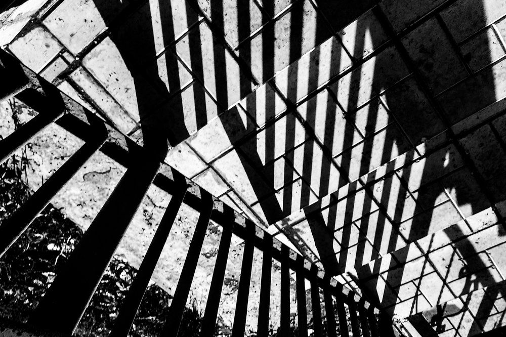 Сквозь чёрное и белое