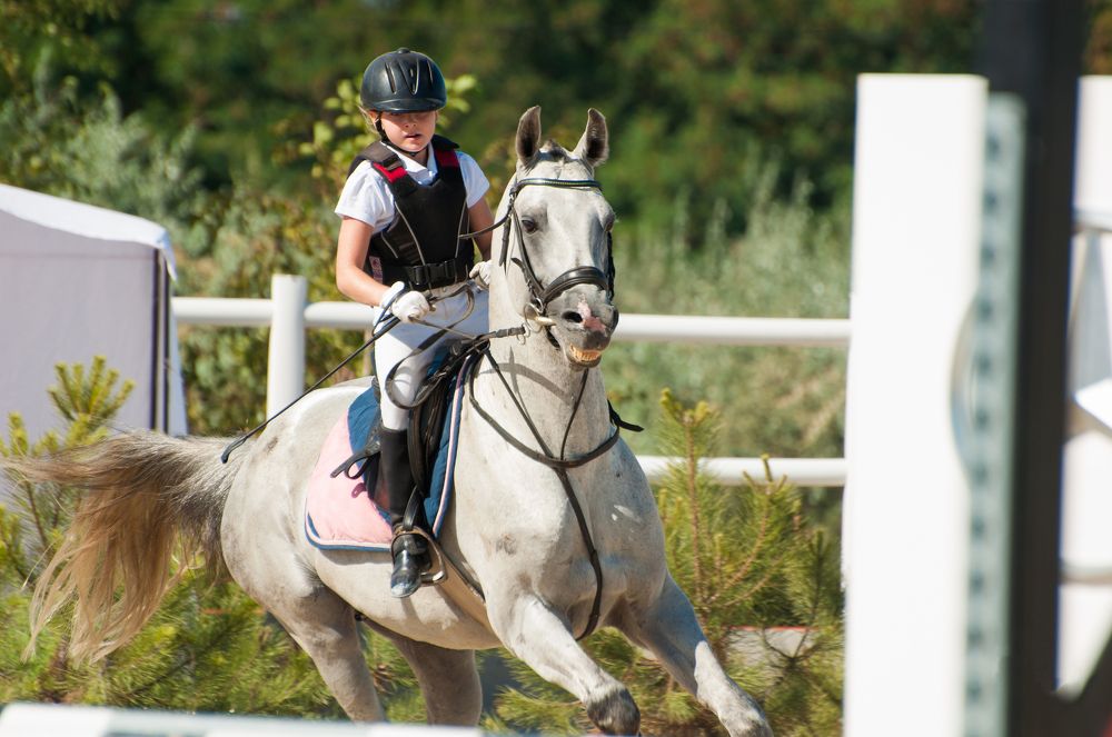 Серебряный ветер