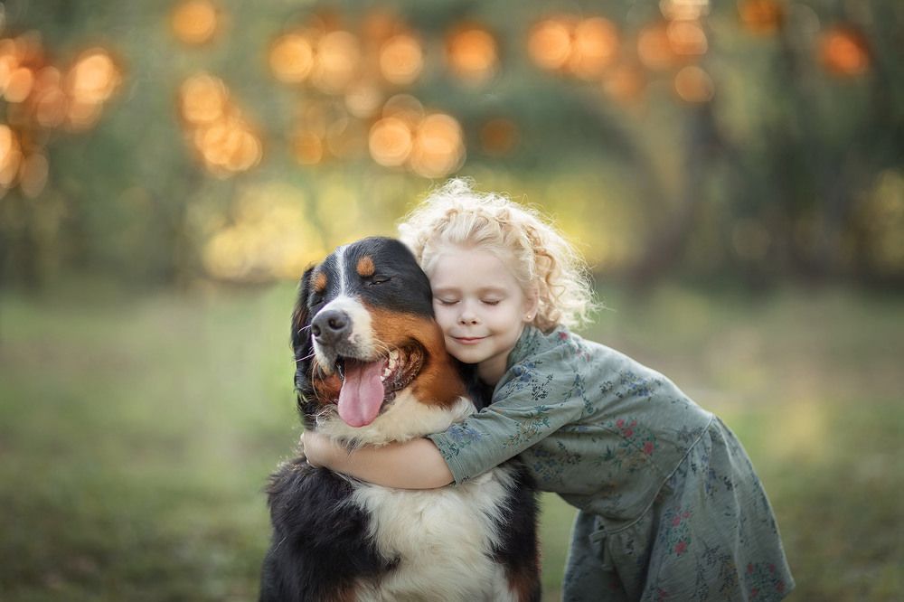 Мечты сбываются