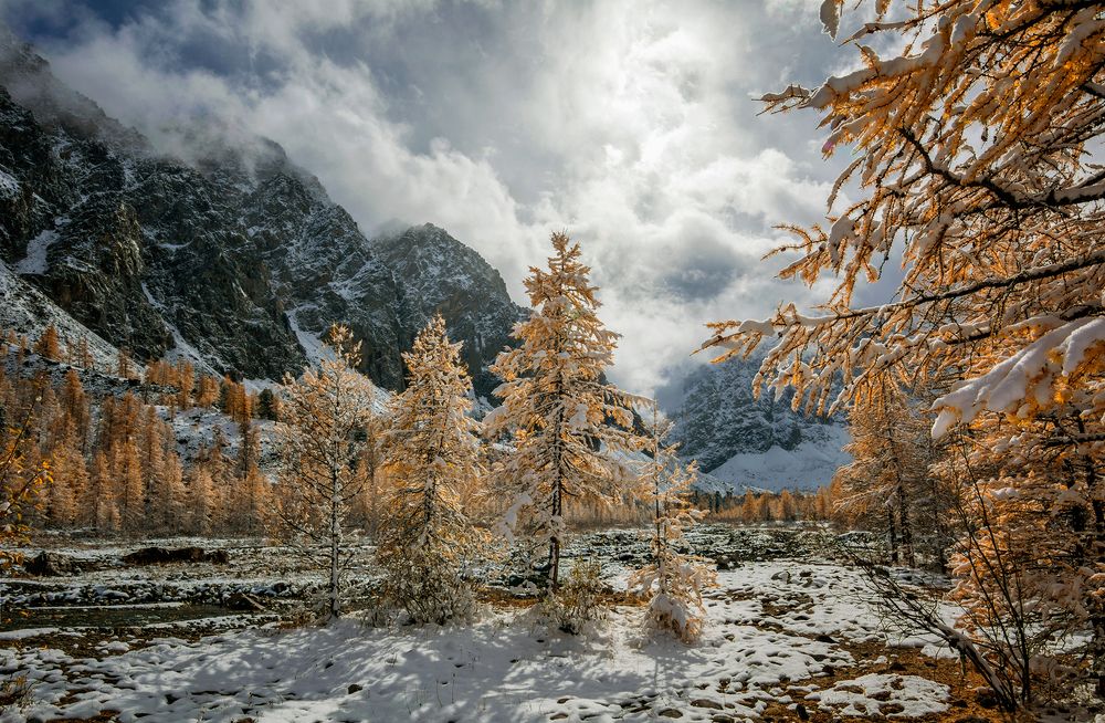 Снежная осень в Актру...