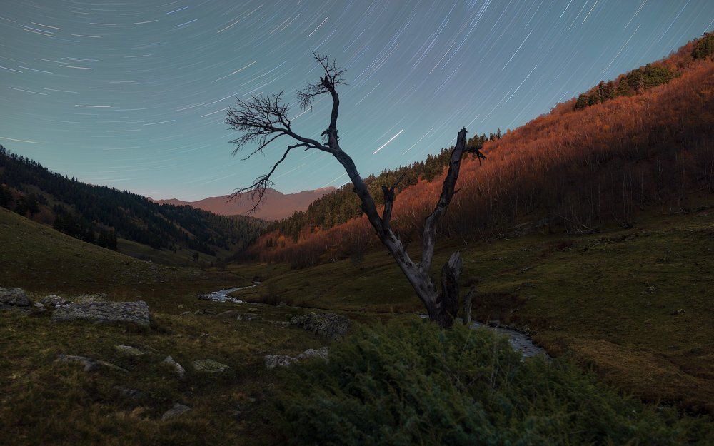 Бег времени