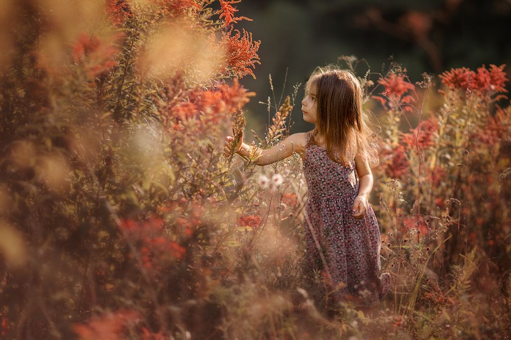 Photograph by Щукина Александра