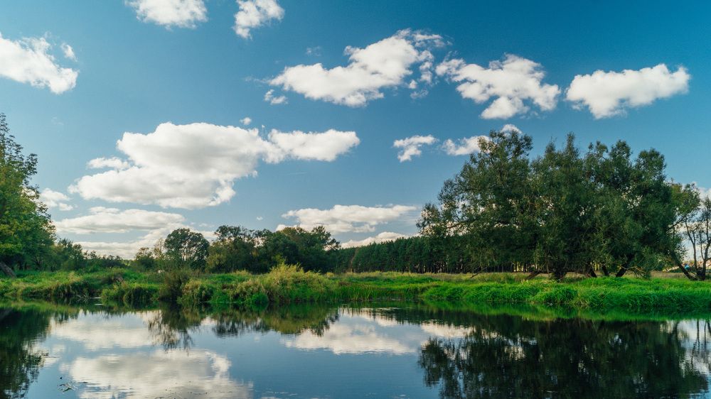 последнии теплые дни лета