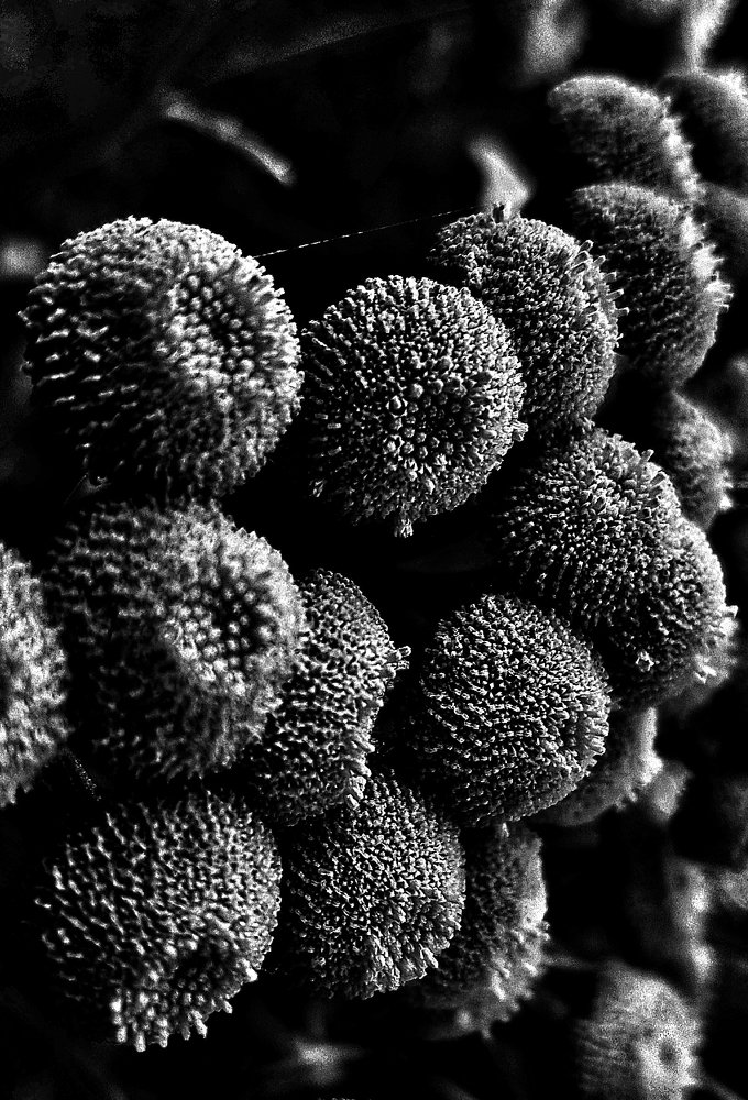 Photograph by Marcin Sokolowski - maarew