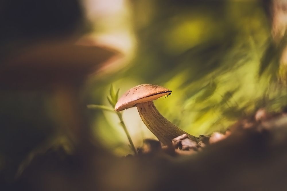 Фотография автора Marina Montale