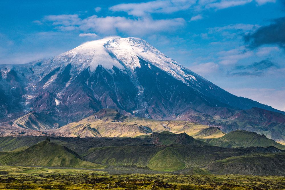 Картина маслом