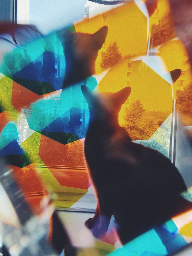 Photograph by Наталья Мишина