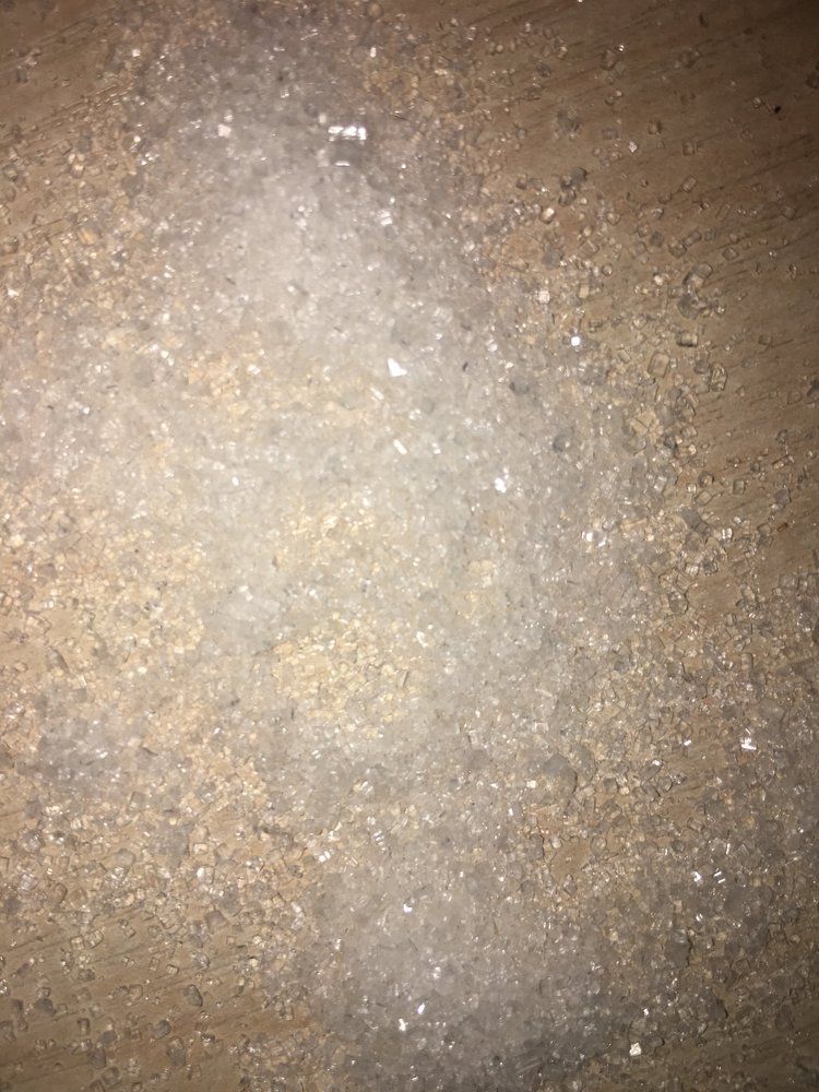 Photograph by Александр Комаров