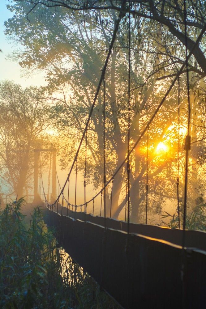 Мост через Нежеголь.