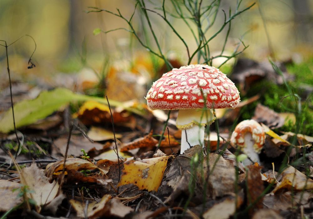 Photograph by Гасанов Игорь