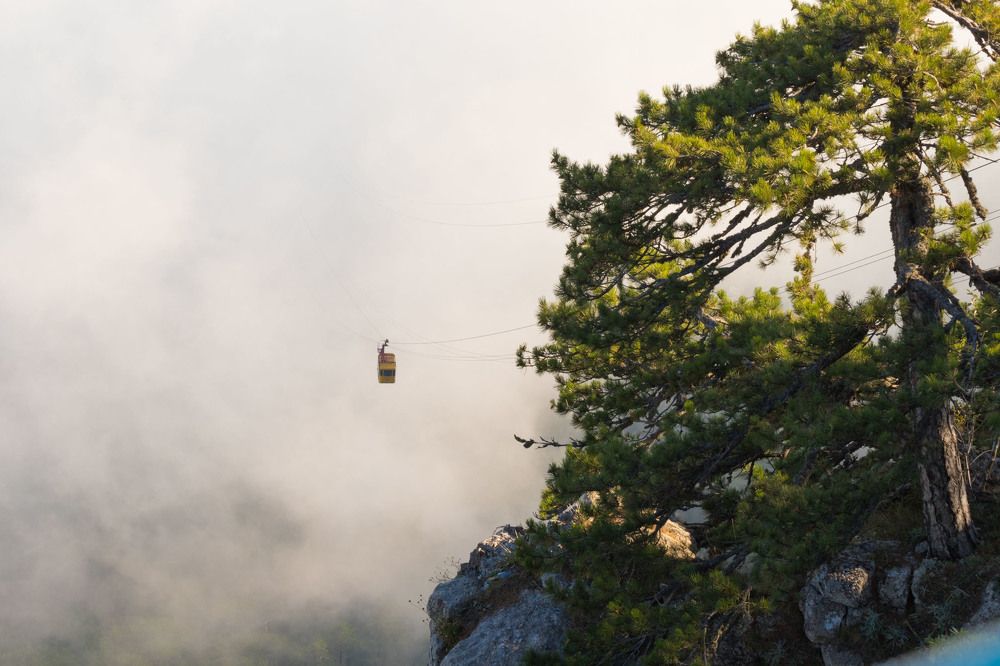 Photograph by Елена Загородская