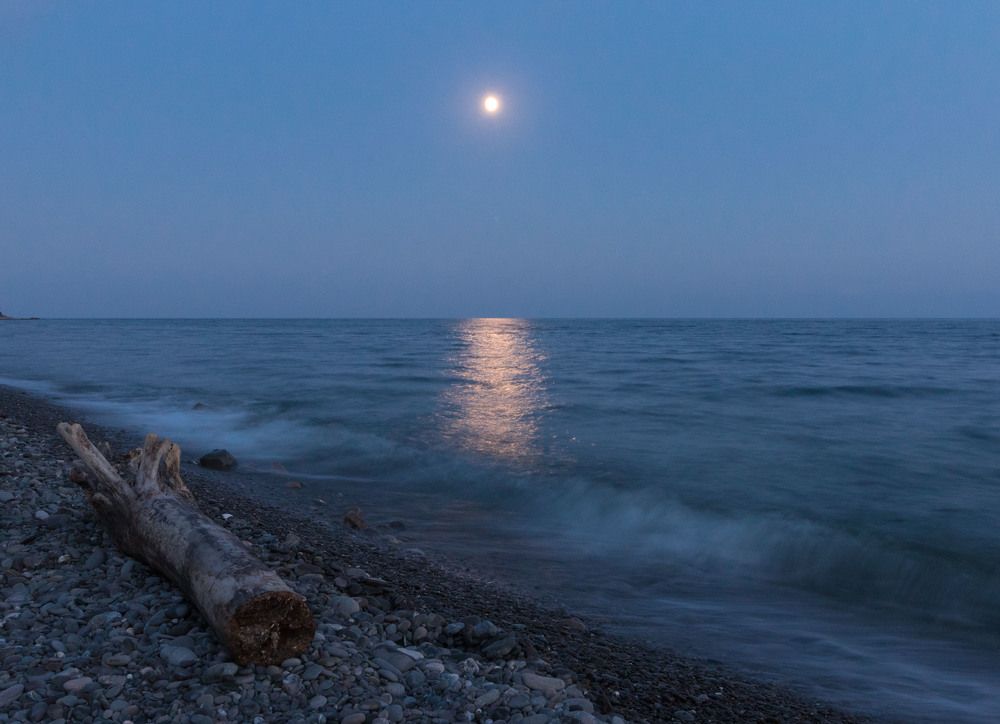 Photograph by Елена Загородская