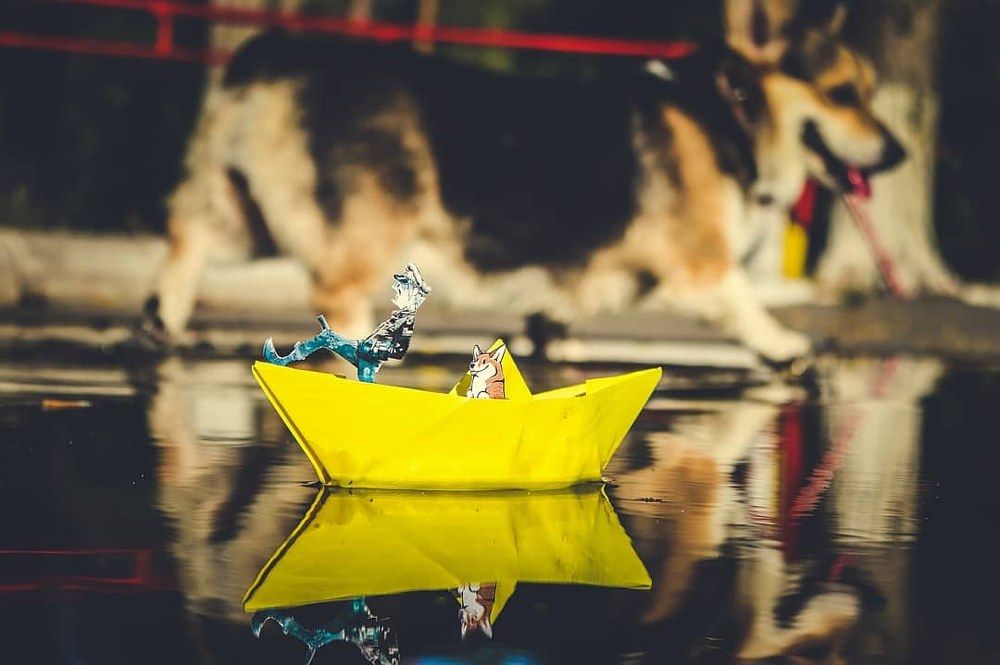 Двое в лодке не считая собаки сзади!