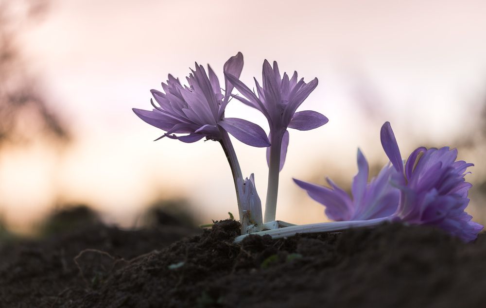 Осенние зарисовки