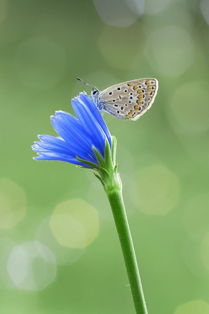 Photograph by Vahid Setoodeh