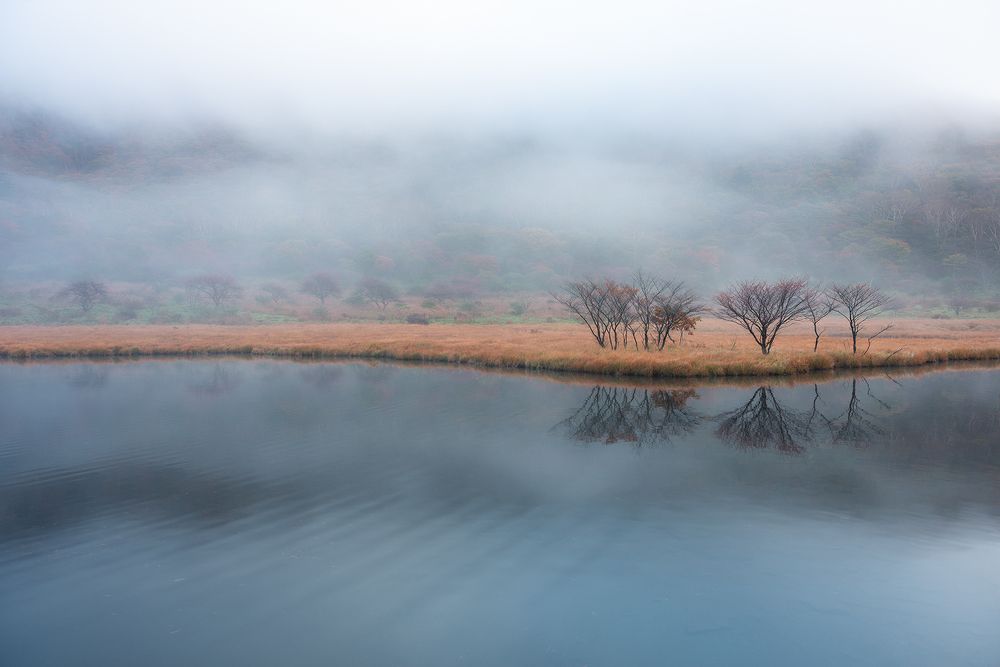 奏で Morning rhythm