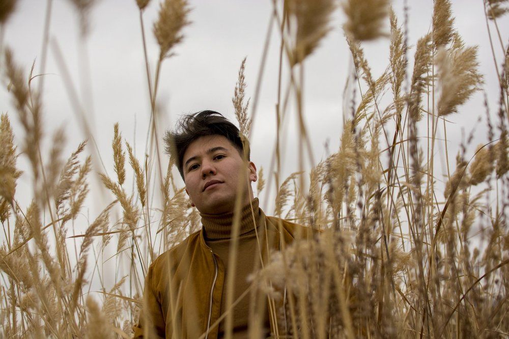 Осенняя симфония степи