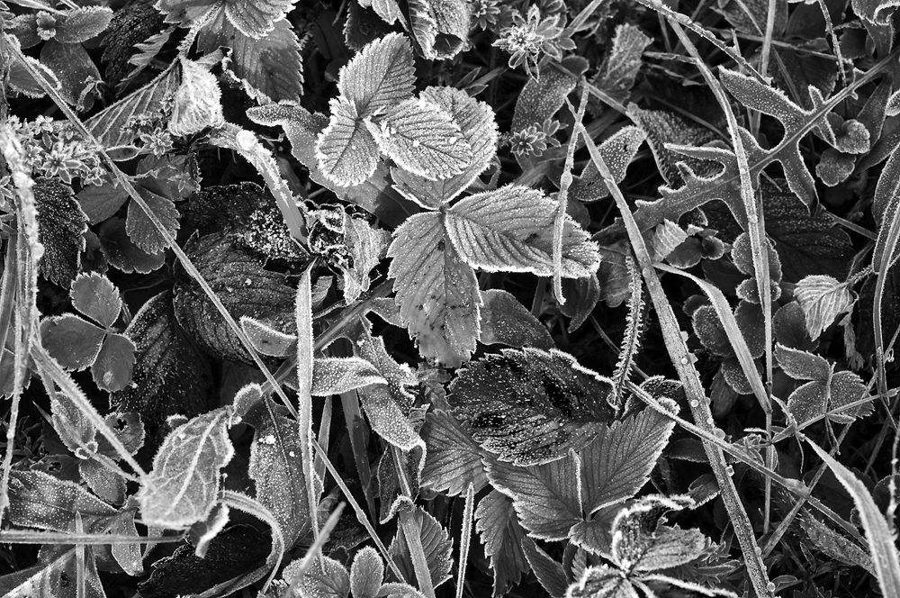 Осенние зарисовки