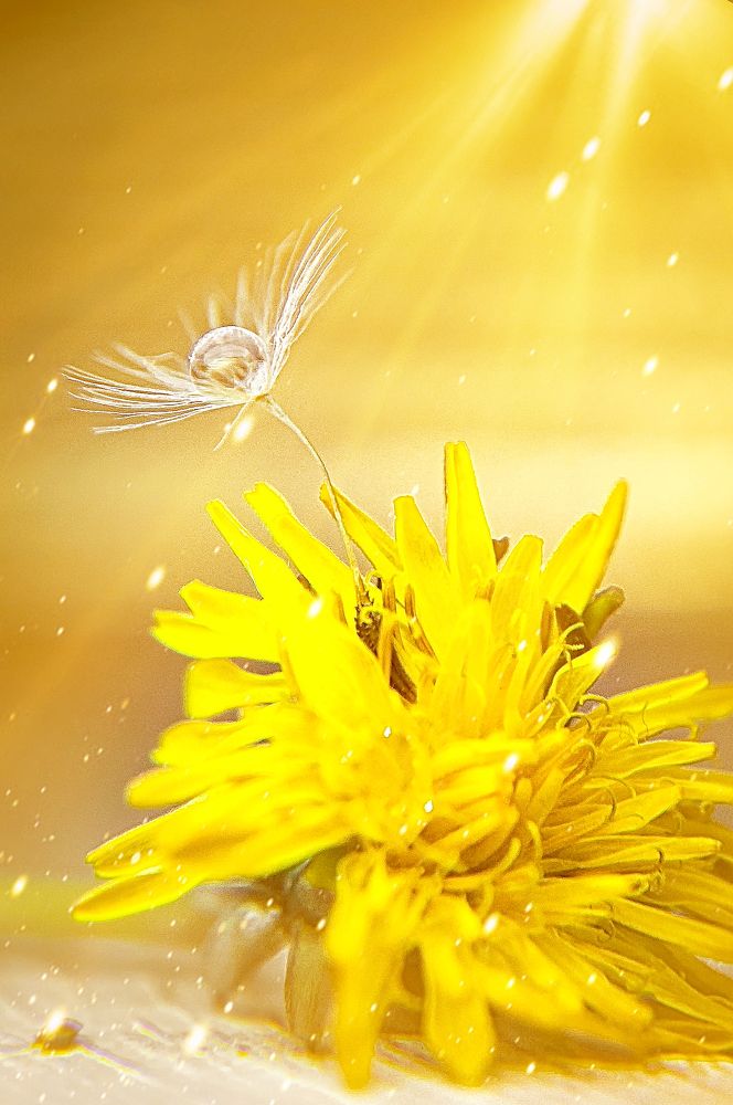 Photograph by Олеся