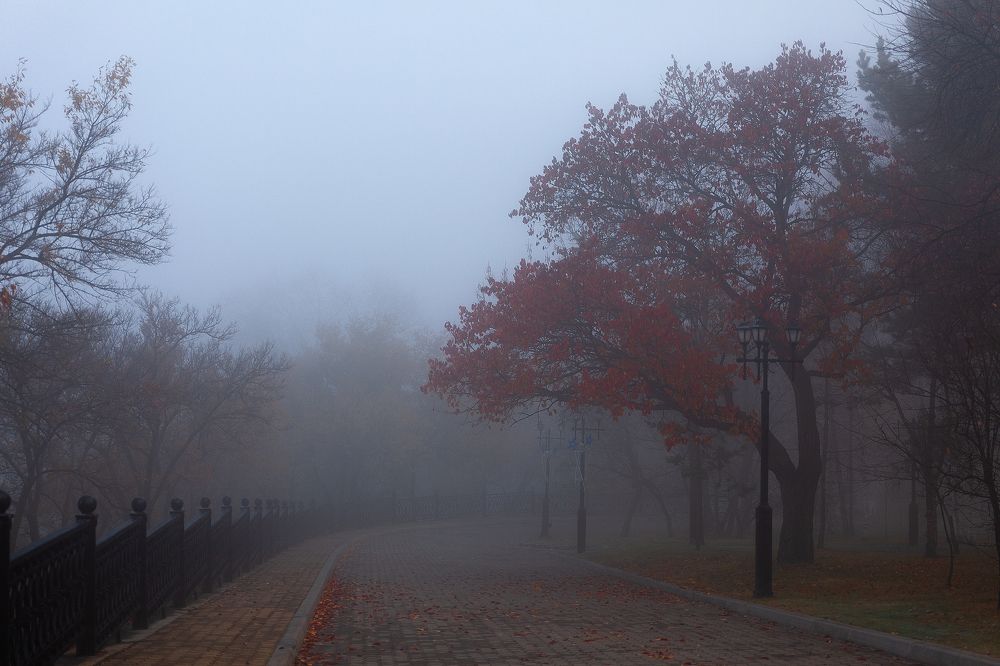 Туманное утро