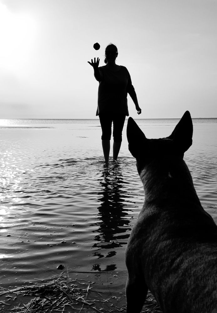 Лови момент