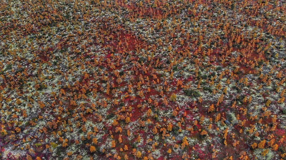 Осень в Колымском крае