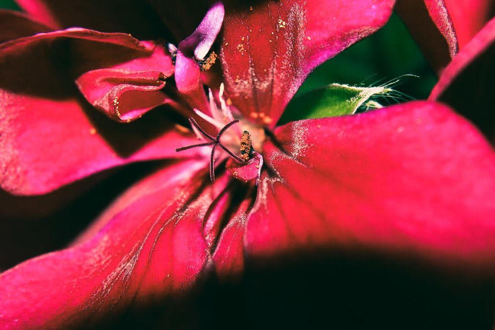 Supernatural