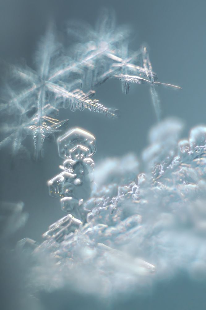 Расскажи Снегурочка, где была