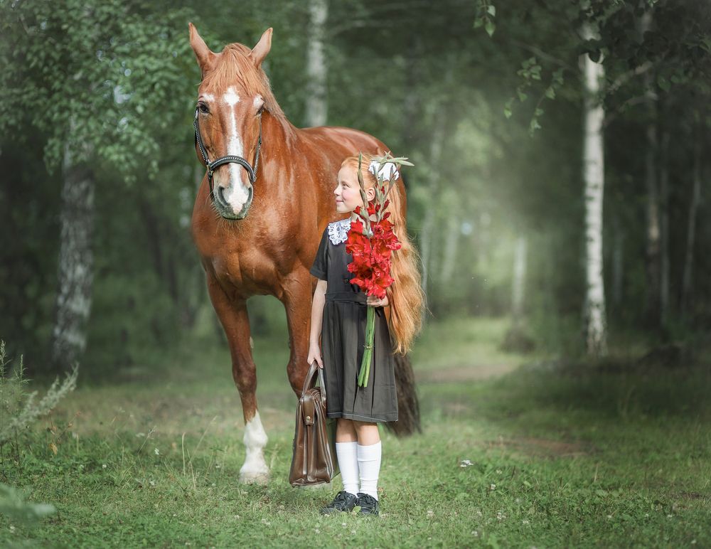 Фотография автора Елена Каликова
