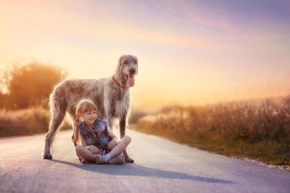 Мой защитник