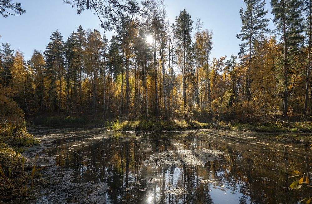 Photograph by Игорь Кляхин