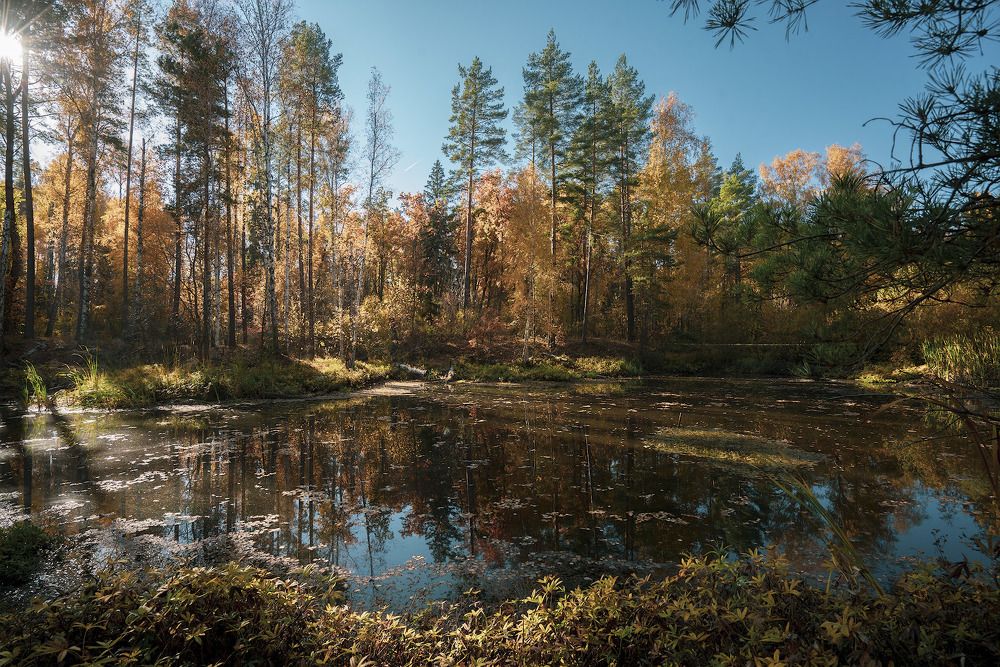 Photograph by Игорь Кляхин