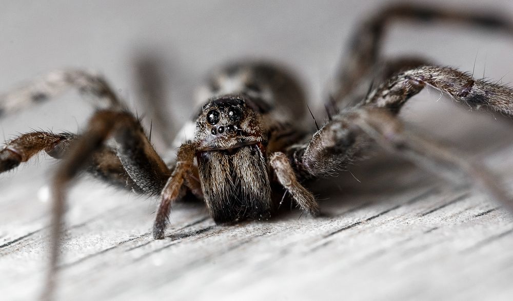 Какие глазки!