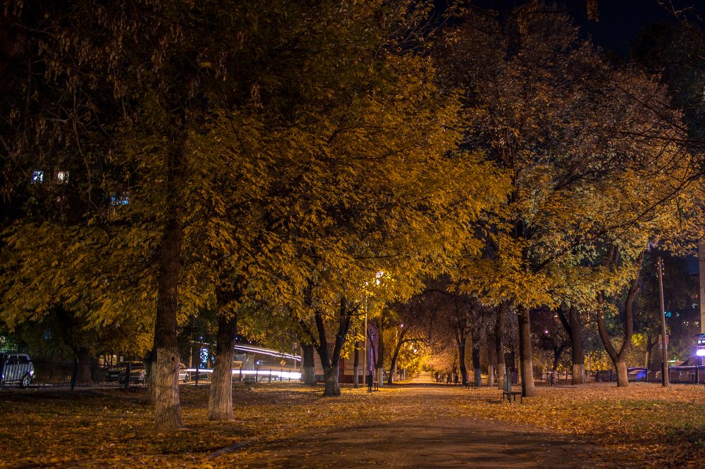 Photograph by Екатерина Мартынова